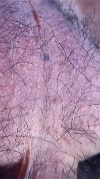 Telur berbulu twink seksi bergerak semua bersendirian untuk video lucah gay yang menarik ini