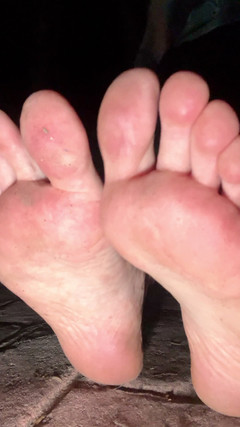 Jasmine Flowers: 对赤脚肮脏的满足