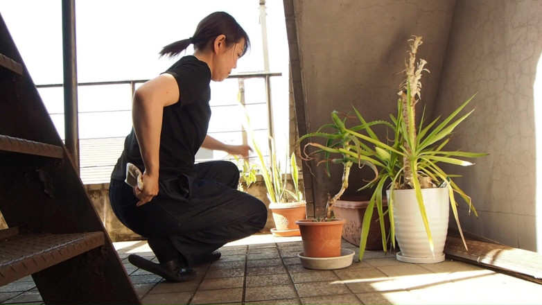 Mayumi Kanzaki: Peeing on a Potted Plant