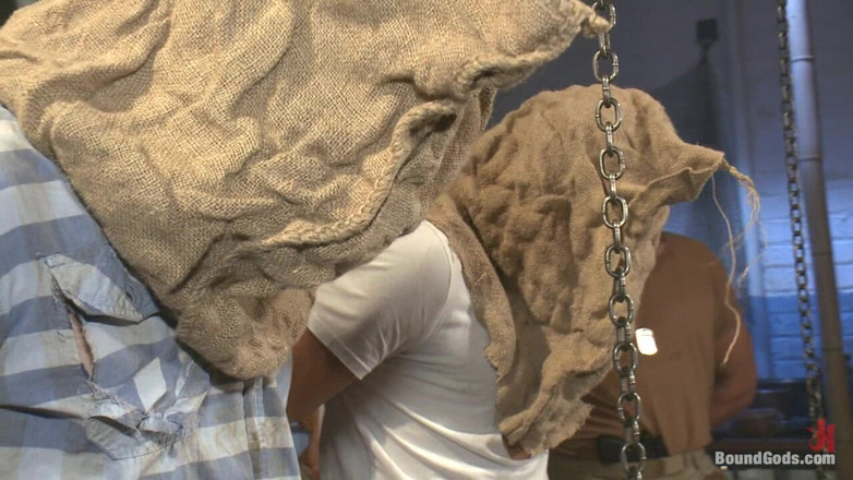 Bound gods: Wanderer oder Spioniere - das Publikum gibt das Urteil heraus