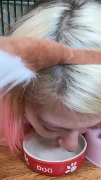 Linda Chica Mascota Bebe De Su Cuenco