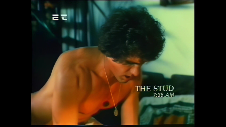 Rocco Siffredi and Friends: ポルノの革新