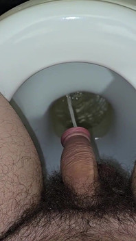 撒尿