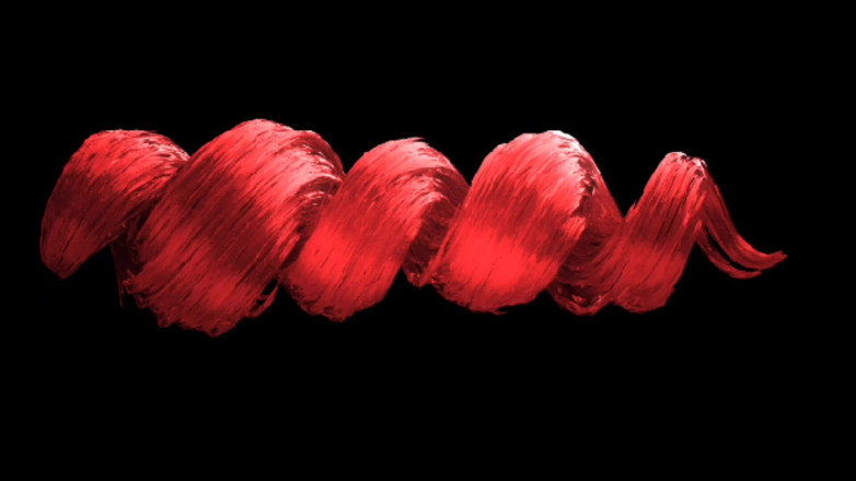 Rex Ringo XXX Productions: Bts con l'attrice cinematografica per adulti Celeste