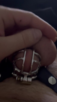 New to Chastity