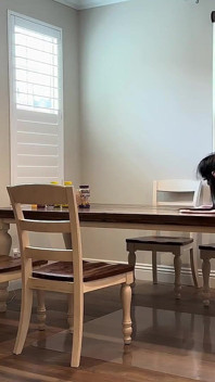 相棒の妻が町を出ている間にダイニングテーブルでファックする