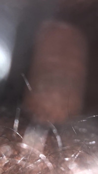 Deep Fuck Pussy Farting