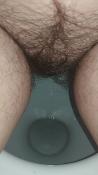 Pee Pissing in the Toilet