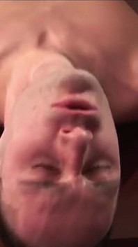 Adegan Schwanzalarm 3