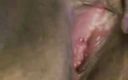 Wild English BBW: Wildenglishbbw - şişman pembe amcığımı parmaklıyor klitorisimi ovuyor