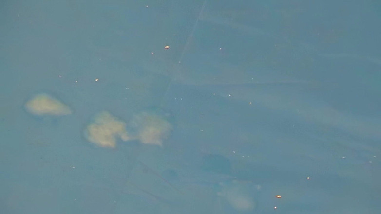 Mark Hannes: 흑형 대물 과 섹스하는 육덕 거유녀