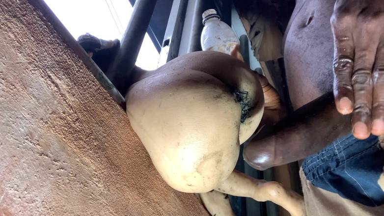 Bangcum8: बड़ी गांड की गहरी गांड चुदाई वाली तीन शैली वाली रंडी की जोरदार गांड चुदाई