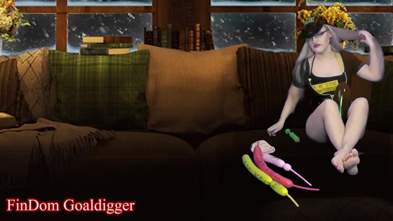 FinDom Goaldigger: Cyber-CEI