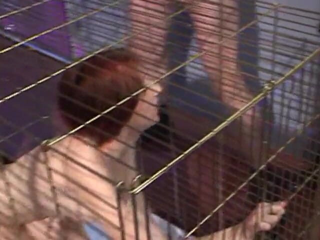 Oral Sluts: Submissive slut blowing police officers dick while in cage