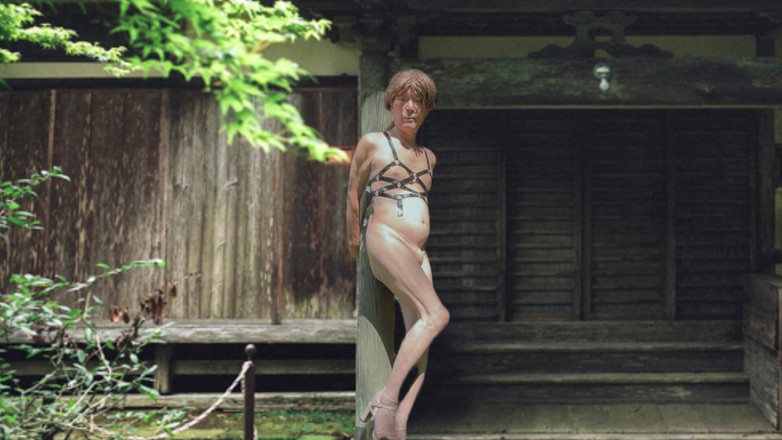 Pai-chan: 日本老房子和Pai-chan