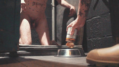 Fleshpot films: Guida all'allevamento dei maiali