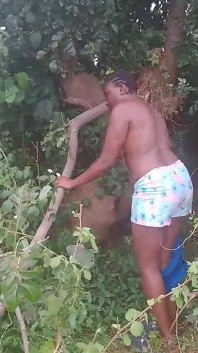 She Wanted to Fuck Me so I Took Her to Hand Uncompleted Building We Now Went to the Bush and Fuck