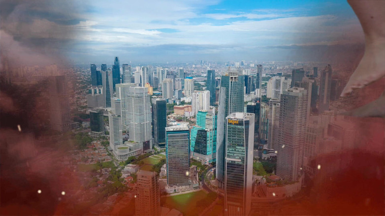 Brea Rose: La aplicación de crecimiento