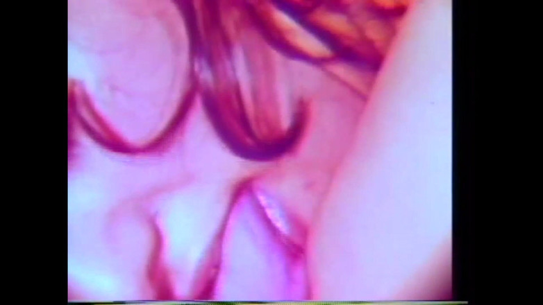 Vintage megastore: 異人種間ジャズのためのピンクネオン