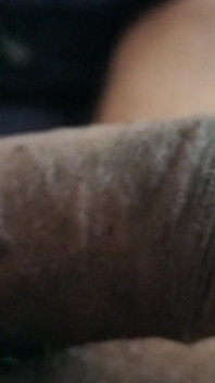 Polla negra