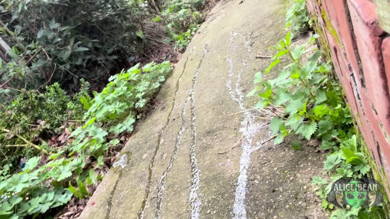 Alice Bean: Another Piss Compilation