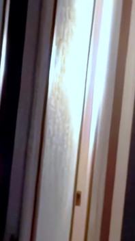 Angelina : pornostar arab brunette Angelina stripping