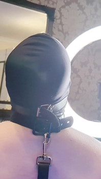 Hogtie Walka o moją mierzeję