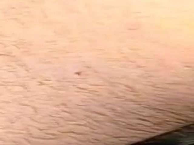 Hot Brunette Slave Is Horny (VintageXMovies)