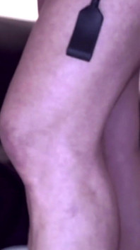 네, 여주인!