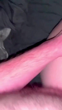 Drooling Creampie for Breeding Pig
