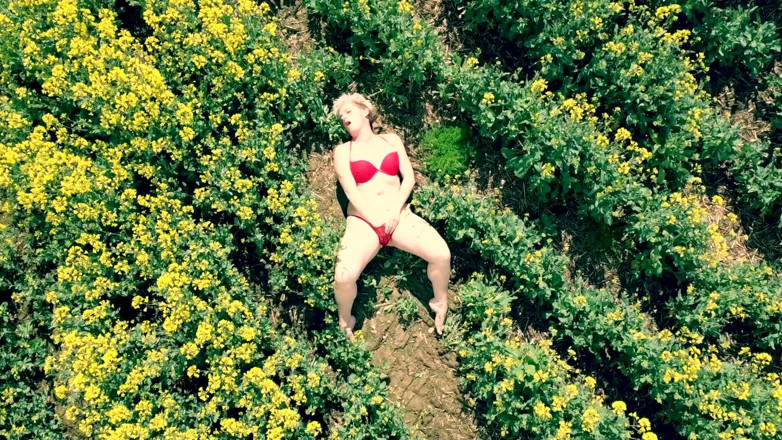 Kylie Britain Adventures: Vogels oogweergave