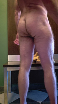 Hairy Bear Undresses