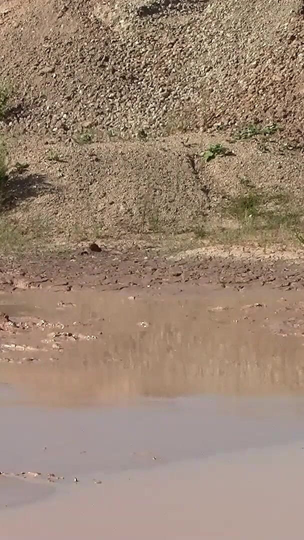 A Great Mud Adventure (Muddy Chubby) A Great Mud Adventure (Muddy Chubby)