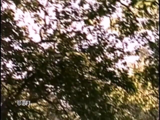 Hardcore Lovers: peitões fodidos.