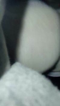 I Cum on My Mother-in-law's Dirty Panties