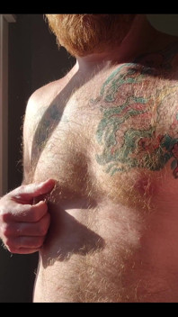 The Morning Sunlight