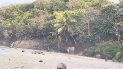 Orang asing mengongkek saya di pantai bogel selepas saya menghisapnya - voyeur sebenar ditangkap melancap menonton kami