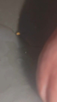 Breaking My Dick After an Extremely Hot Orgasm!!!
