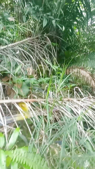 AdmHell: Mijn tuin heeft veel sperma gemorst hier