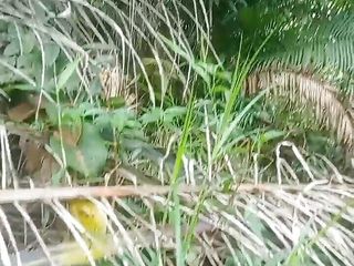 AdmHell: Mon jardin a beaucoup de sperme renversé ici