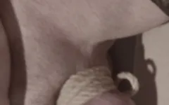 Bağlı taşaklarla çoraplı dölleniyor