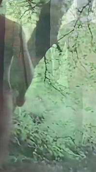 Compilation de seins nus dans la nature et marche