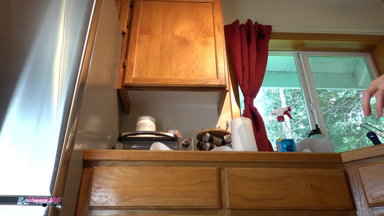 Destination Kat: Kürbis-schnitzerei