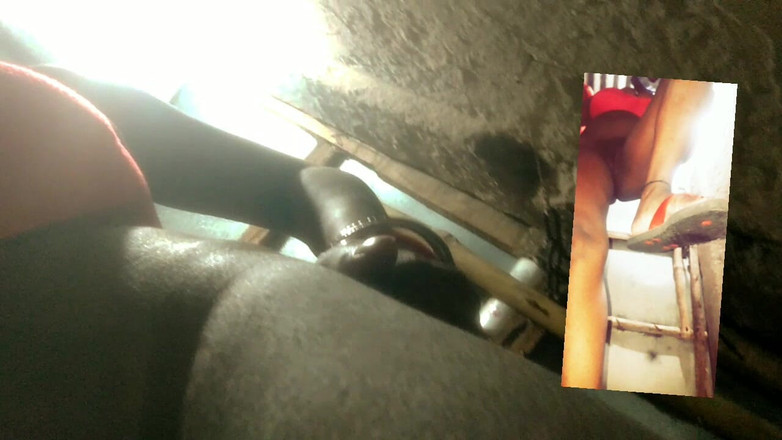 Sweet: ベンガル・ブーディ・ビッグブックス