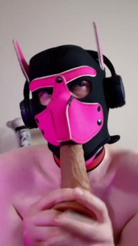 This Could Be Your Cock in Hound's Mouth