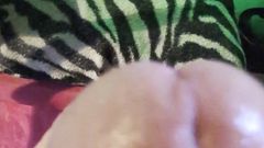 Spindo: Honění