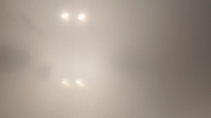 Skin and earth: नीचे से गोल-मटोल भालू देखने का बिंदु। ग्रंटिंग और आपके चेहरे पर वीर्य निकालना