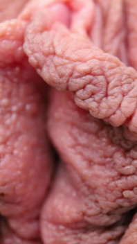 Rakaman dekat orgasme pepek berkrim yang melampau dari menjolok cepat