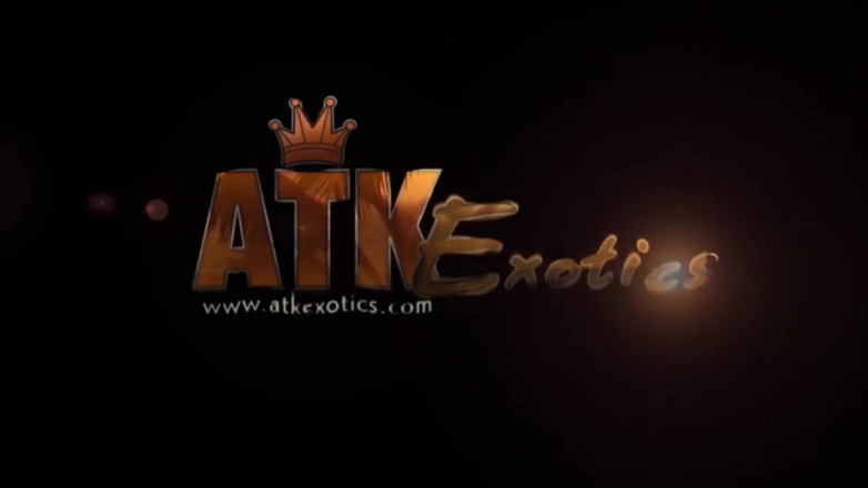 ATK Fans (Solo): Danni Lynne suka kencing untukmu