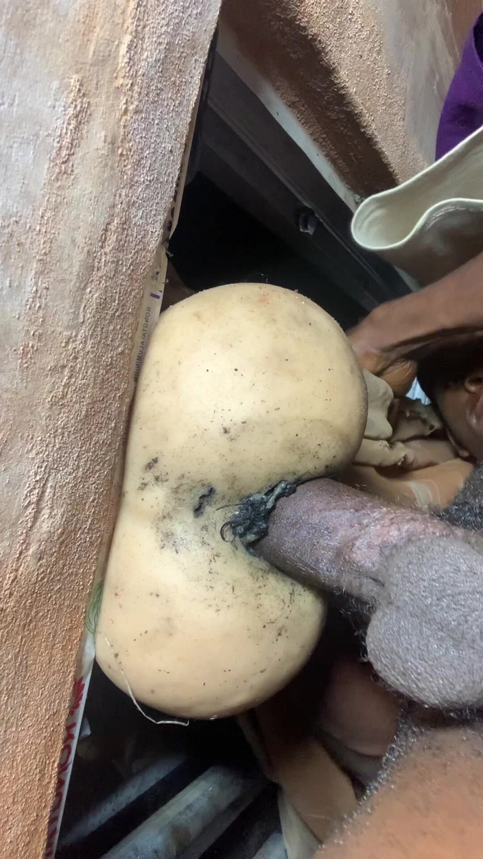 Bangcum8: Lasciami scopare questa grande troia così eccitante quando sento i...